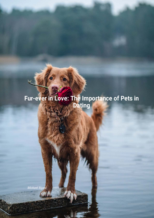 Fur Ever In Love The Importance Of Pets In Dating